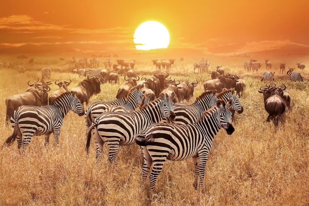 iStock 663981890 1 1